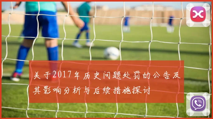 关于2017年历史问题处罚的公告及其影响分析与后续措施探讨
