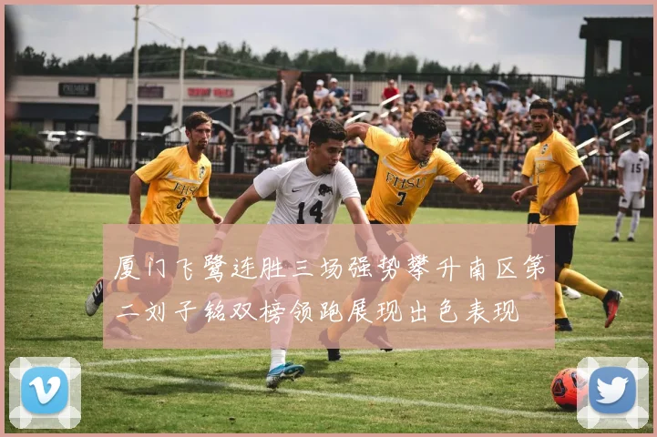 厦门飞鹭连胜三场强势攀升南区第二刘子铭双榜领跑展现出色表现