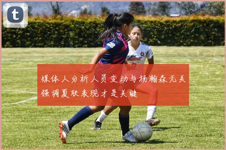 媒体人分析人员变动与杨瀚森无关强调夏联表现才是关键